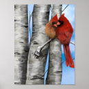 Search for cardinals on birch trees Blue