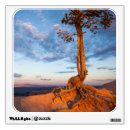 Search for desert wall decals Scenics
