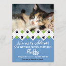 Search for pet adoption invitations Cat