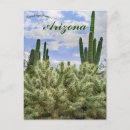 Search for tucson postcards United states
