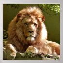 Search for lion motivational posters Quote