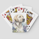 Search for golden retriever playing cards Puppy