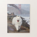 Search for samoyed puzzles Dog