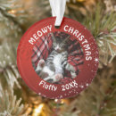Search for two cats ornaments Cat lover