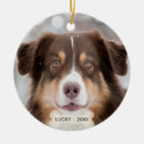 Search for australian shepherd ornaments Pet