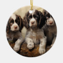 Search for english springer spaniel ornaments Hunting