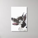 Search for harlequin great dane decor Studio shot
