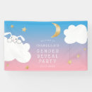Search for gender reveal banners Boy or girl