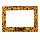 Search for orange picture frames Pet