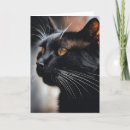 Search for humorous birthday cards Cat