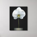 Search for flowers canvas prints Bloom