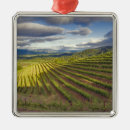 Search for napa valley ornaments Vineyard