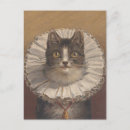 Search for funny cat postcards Silly