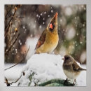 Search for cardinals in winter posters Landscape