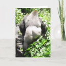 Search for gorilla cards Wildlife