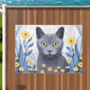 Search for russian doormats Russian blue cat