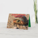 Search for turtle birthday cards Sand