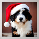 Search for christmas posters Pets