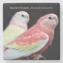 Search for bird coasters Pet