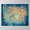 Search for anatomy posters Spine