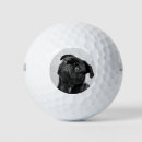 Search for pug fathers day Dog