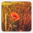 Search for wheat stickers Farm
