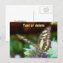 Search for party reminder postcards Butterfly