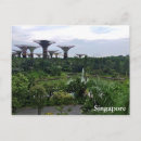 Search for singapore postcards Gardens by the bay