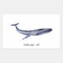 Search for whale stickers Water