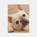 Search for french bulldog blankets Puppy