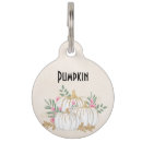 Search for pumpkin pet tags Whimsical