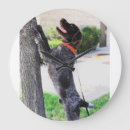 Search for wirehaired pointing griffon gifts Korthals