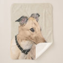 Search for greyhound blankets Dog