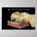 Search for golden retriever posters Humor