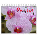 Search for orchid calendars nature