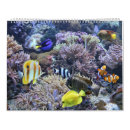 Search for fish calendars Aquarium