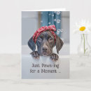 Search for german shorthaired pointer dog cards Cute