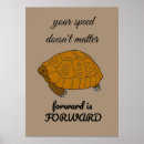 Search for turtle quotes posters Typography