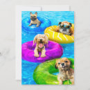 Search for funny pool party invitations Dogs