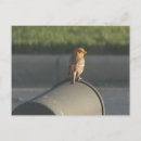 Search for mailbox postcards Friends