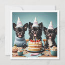 Search for chihuahua birthday invitations Mexico