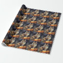 Search for maine wrapping paper Maine coon cat