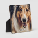 Search for pet loss gifts Rainbow bridge