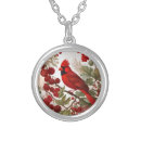 Search for cardinal necklaces Wildlife