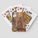 Search for squirrel playing cards Nature