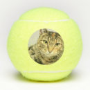 Search for cat tennis balls Cute