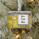 Search for volcano ornaments Hawaii