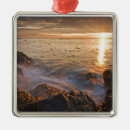 Search for san juan island ornaments Puget sound