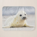 Search for cute seal blankets Nature