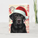 Search for labradoodle christmas cards Watercolor